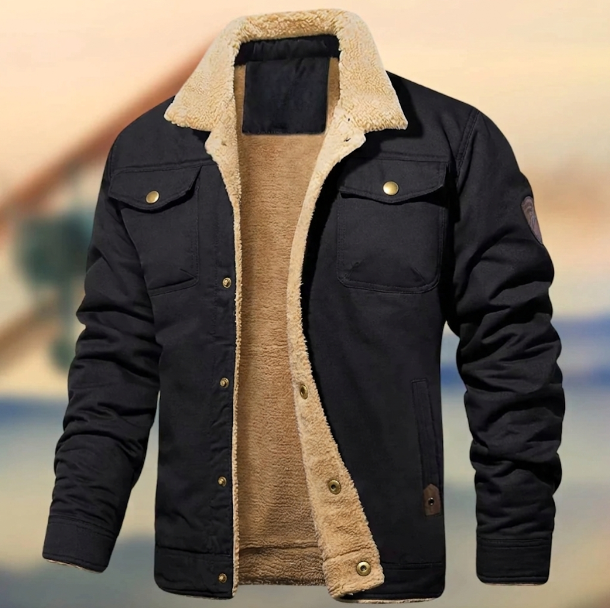 Cedric | Men's Sherpa Collar Button Front Jacket